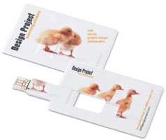 USB ФЛЭШ КАРТА В ФОРМЕ ВИЗИТНОЙ КАРТОЧКИ